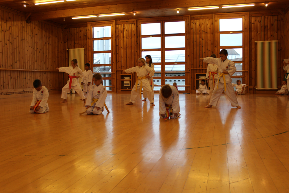 Aktuelles Dojo. Jahr 2015.