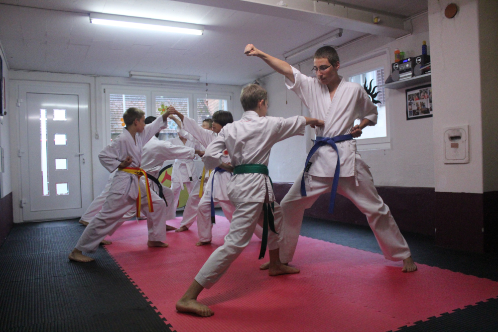 Altes Dojo. Jahr 2012.